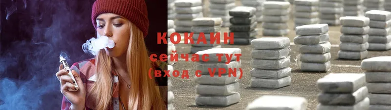 купить закладку  Богородицк  Cocaine Fish Scale 