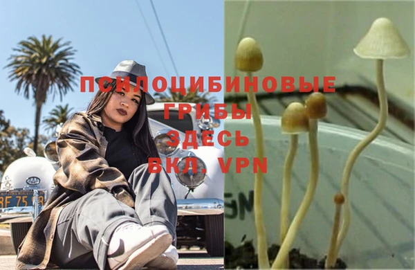 мяу мяу кристалл Осинники