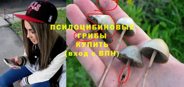 мяу мяу кристалл Осинники