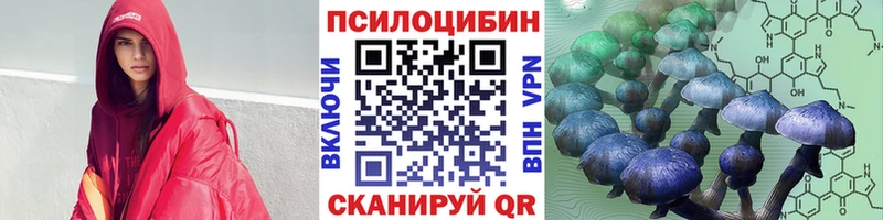закладка  Богородицк  Псилоцибиновые грибы мицелий 